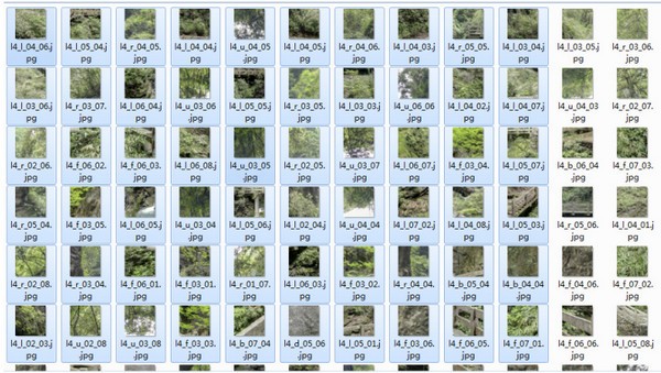 16f5f5b357302c9e_600_0.jpeg